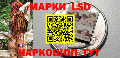 шишки Ставрополь