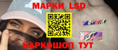 шишки Ставрополь